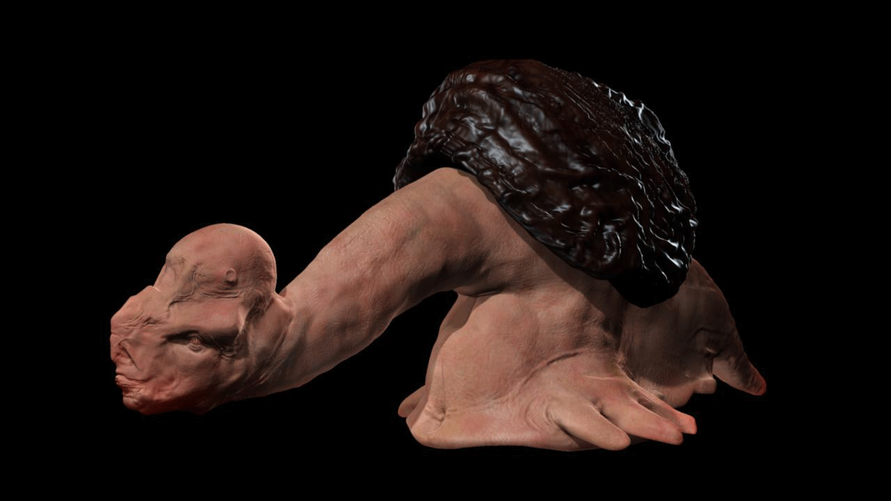 big-facecoll1.gif