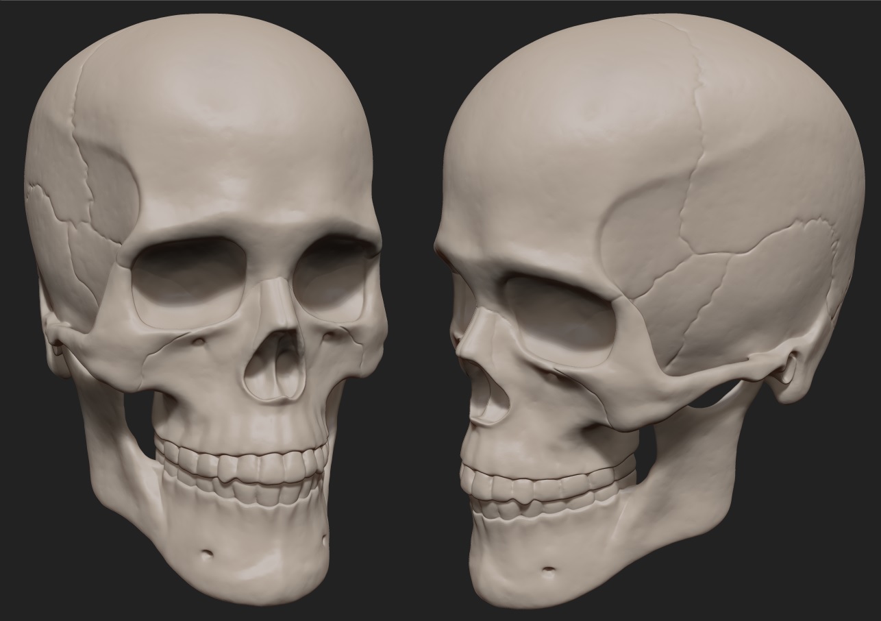 Skull.jpg
