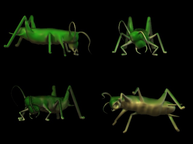 Grasshopper.jpg