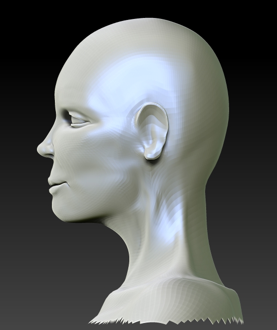 FEMALE ANATOMY retry12.jpg