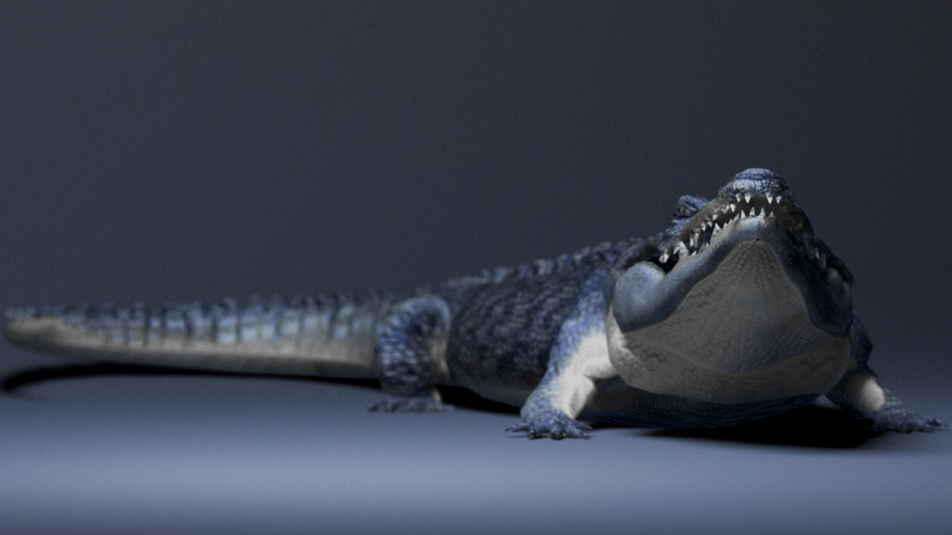 CrocColorweba.jpg