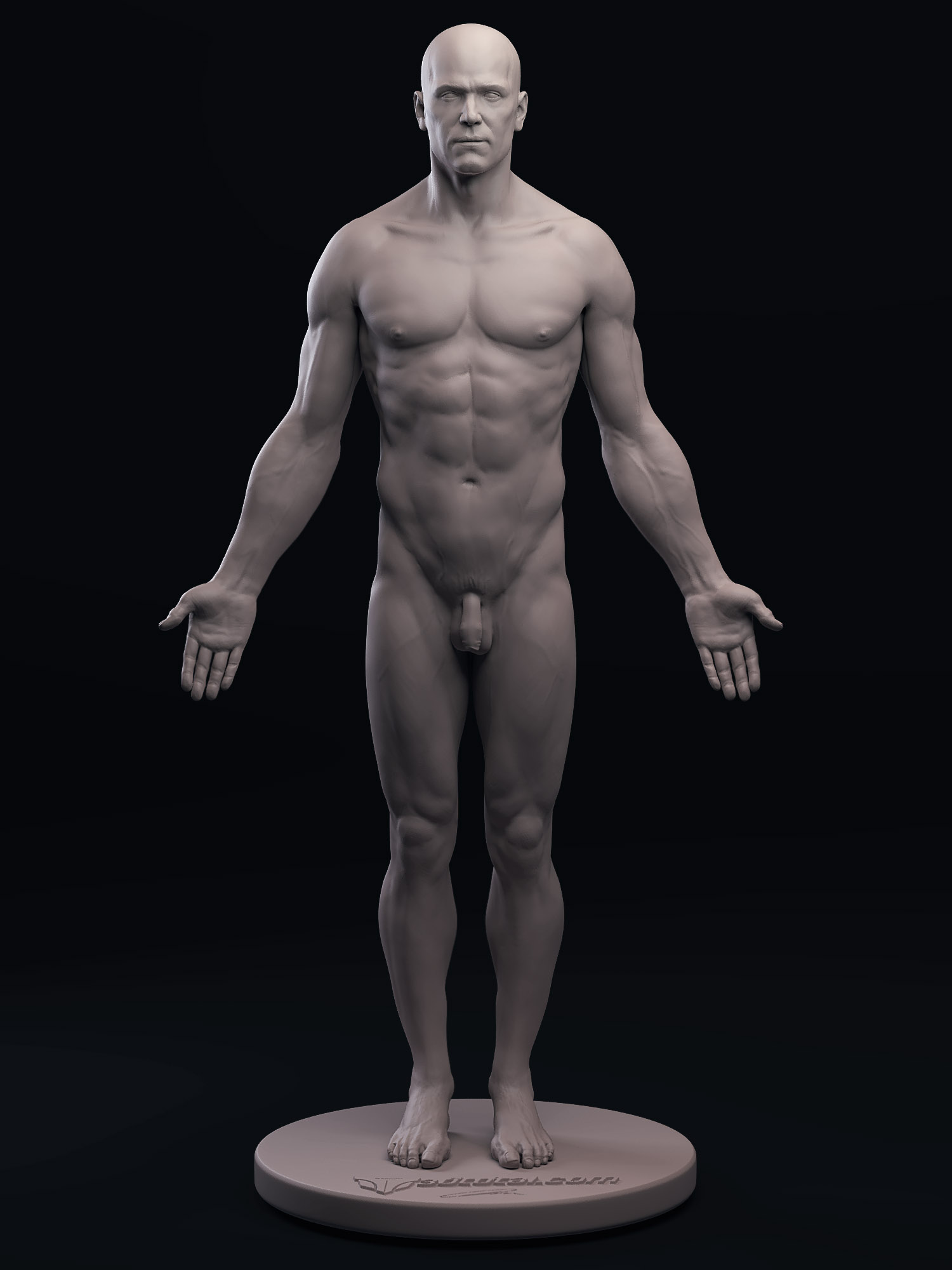 anatomyfigurefull.jpg