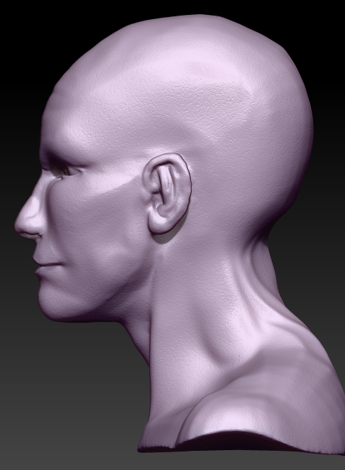 head01.jpg