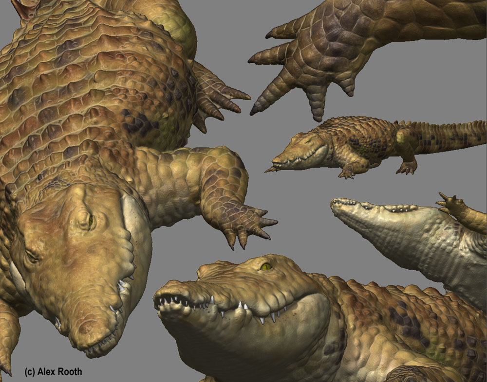 croc_texture.jpg