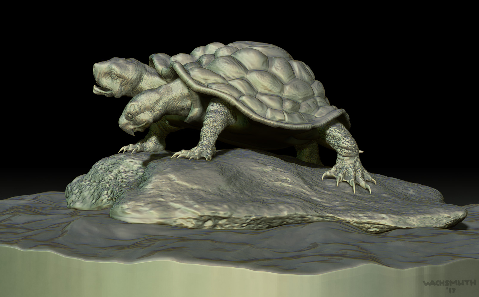 turtle_view_02_4web.jpg