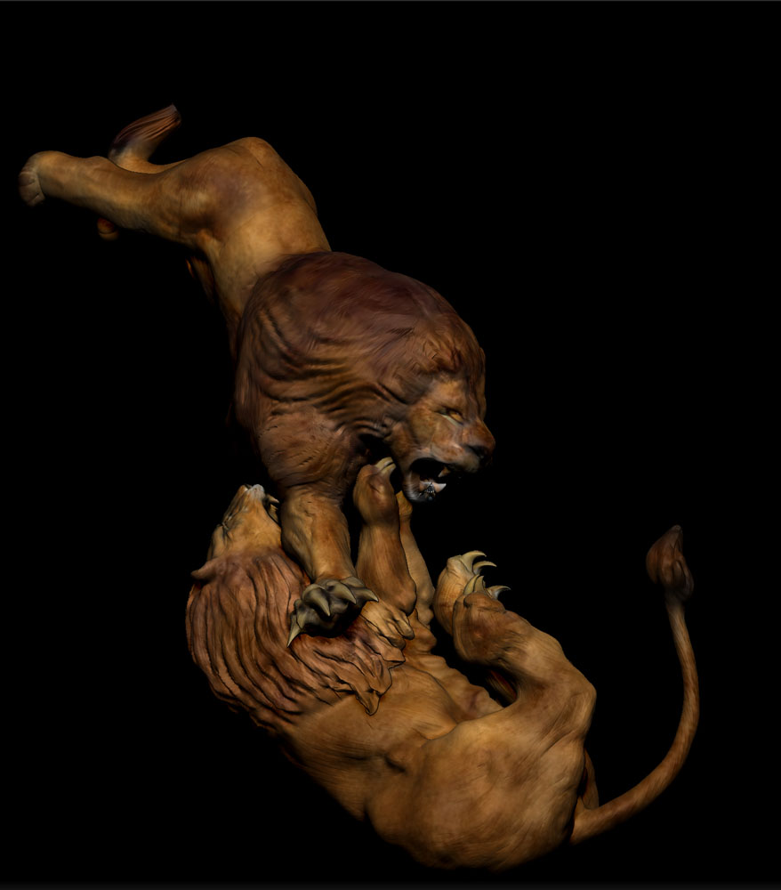 LION FIGHT 17.jpg