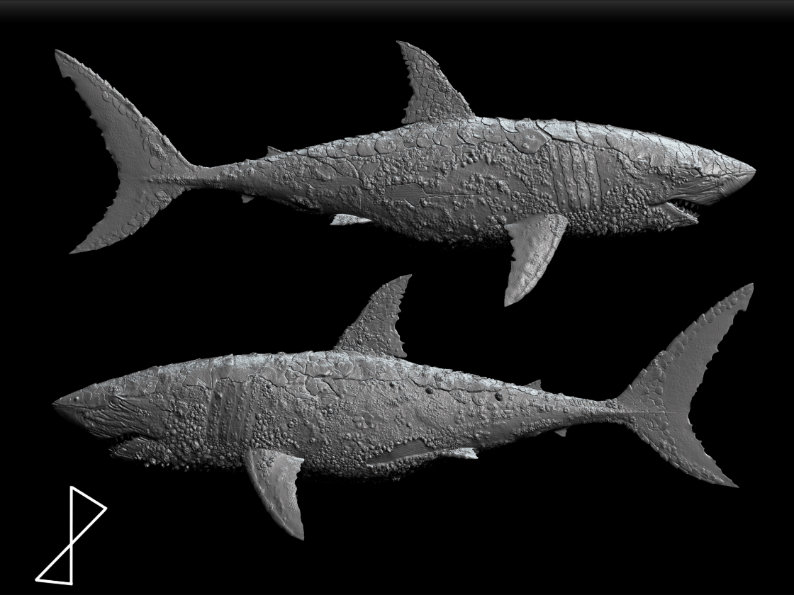 SwampShark_BPR_Render05.jpg