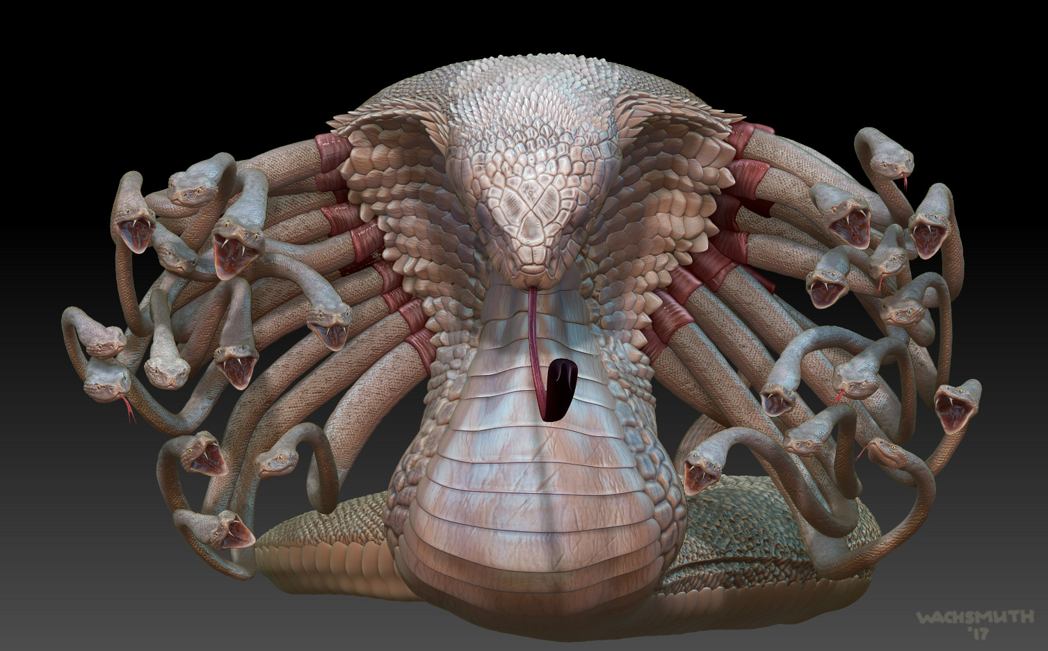 hydra_view_01_4web.jpg
