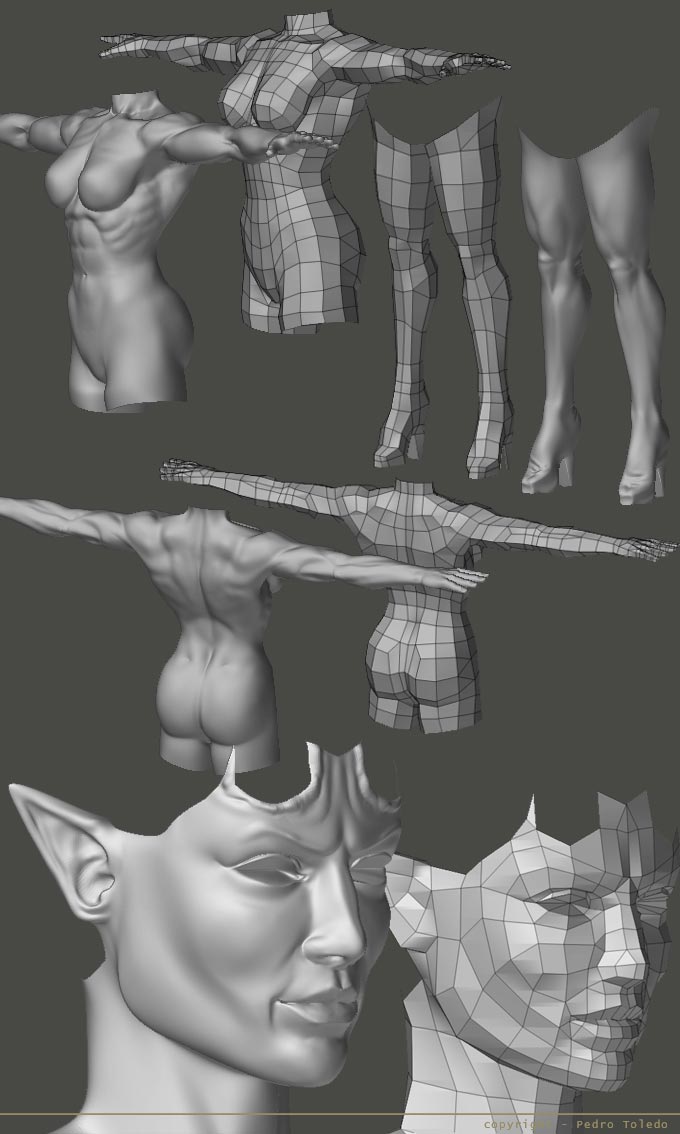 wip12.jpg
