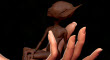ZBCThumb5.jpg