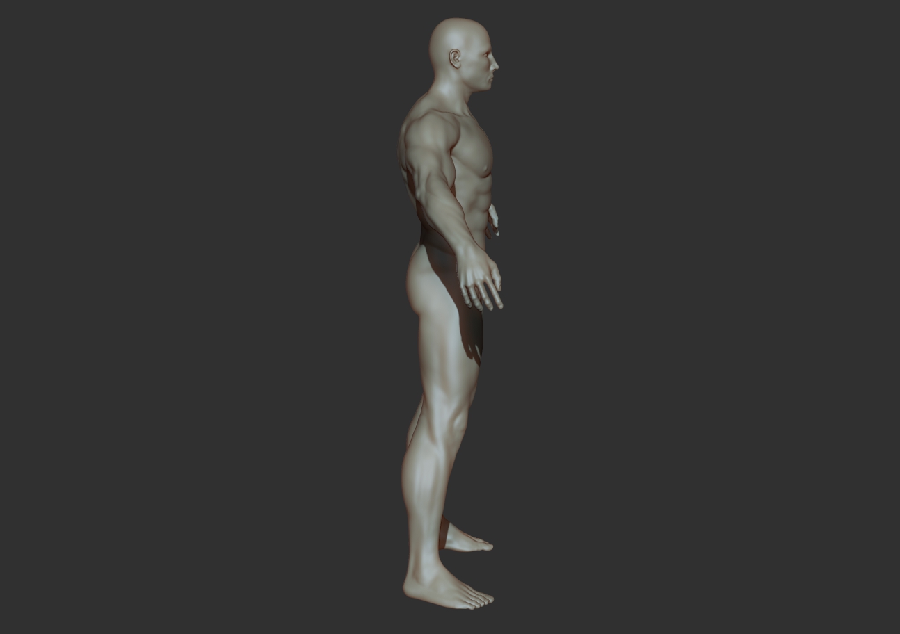 body builder_profile.jpg