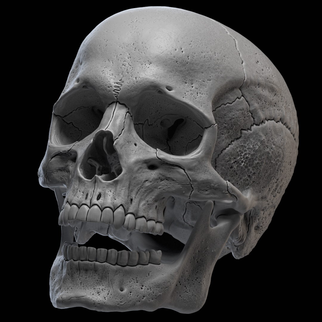 Skull_06