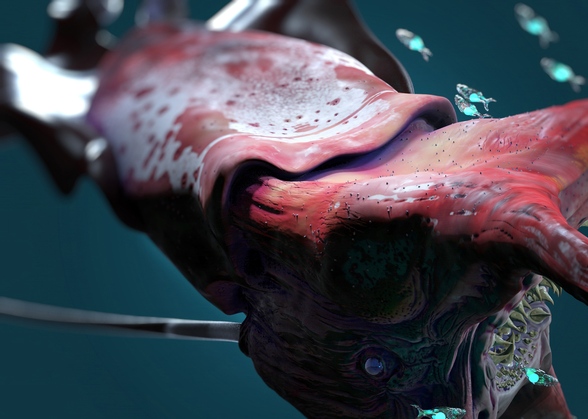Copy-of-squid.jpg