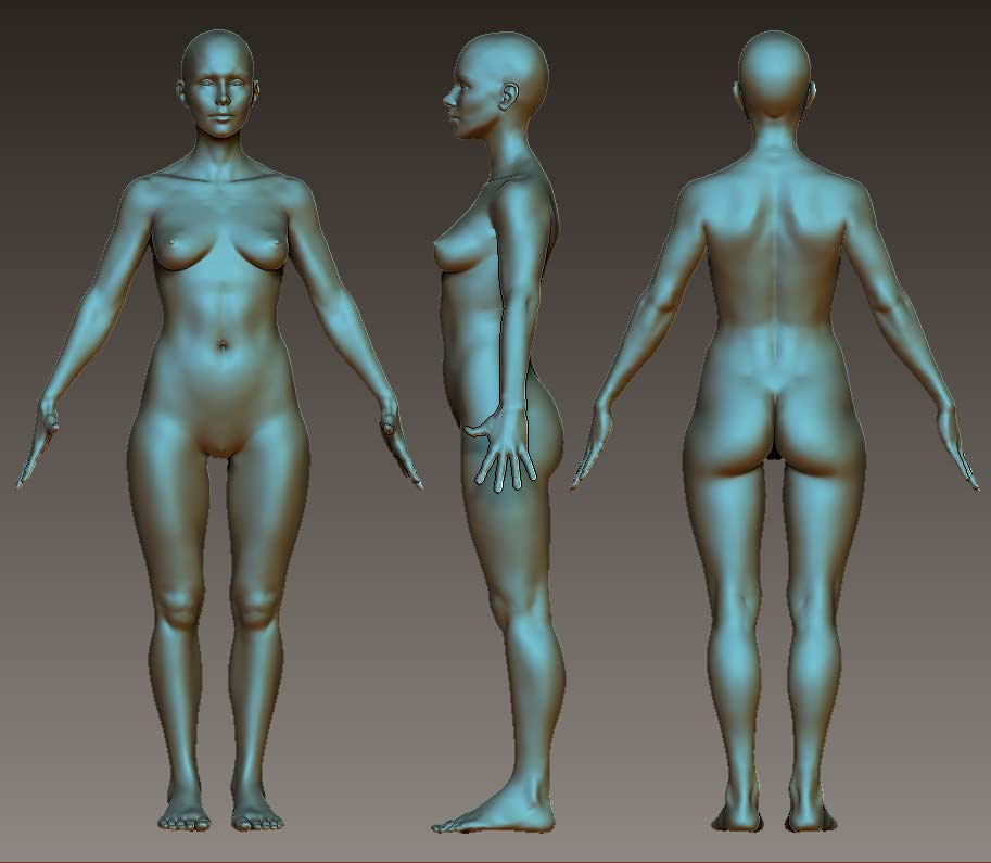 Female-Body-Improved-Jan-18.jpg