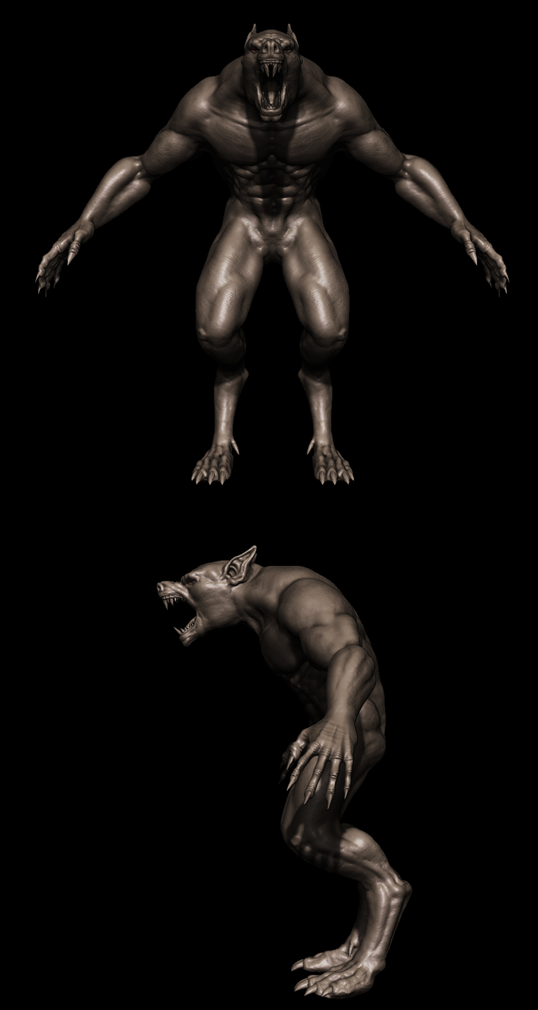 wolf.jpg