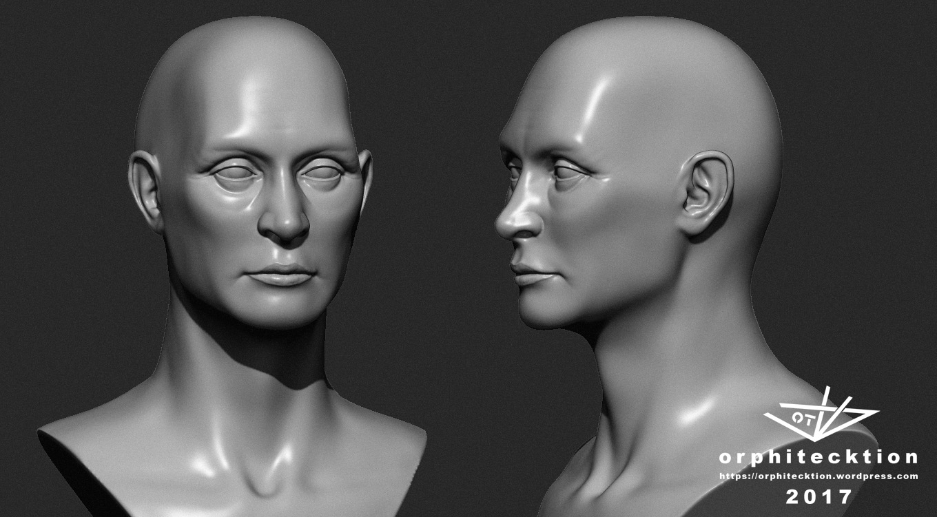 Bust_2017_F01.jpg