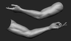 Arm thumb.jpg
