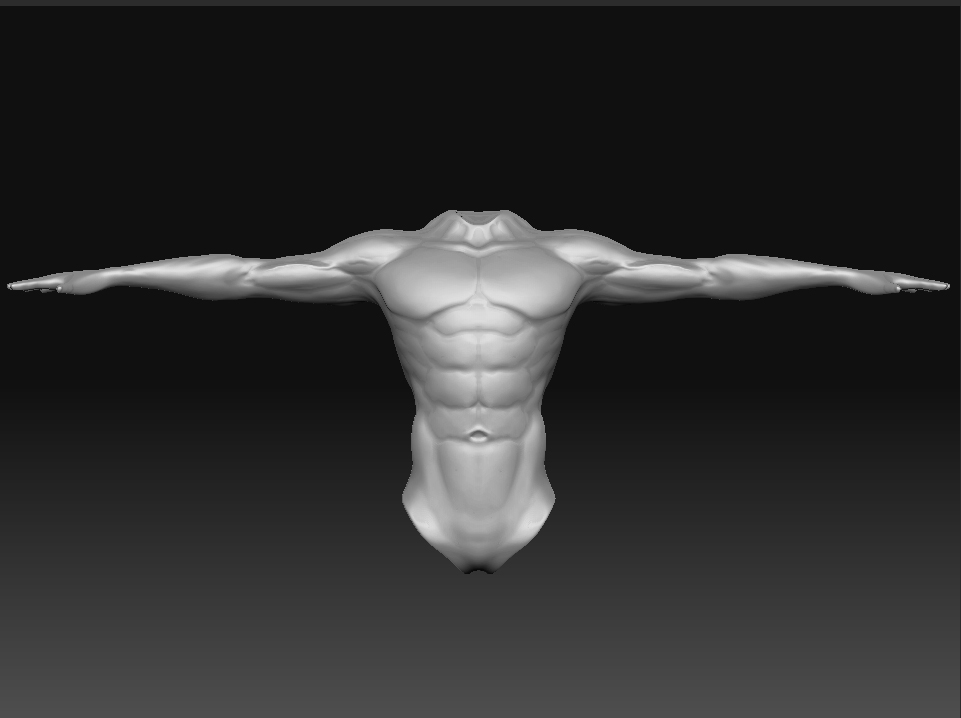 muscle_01.jpg