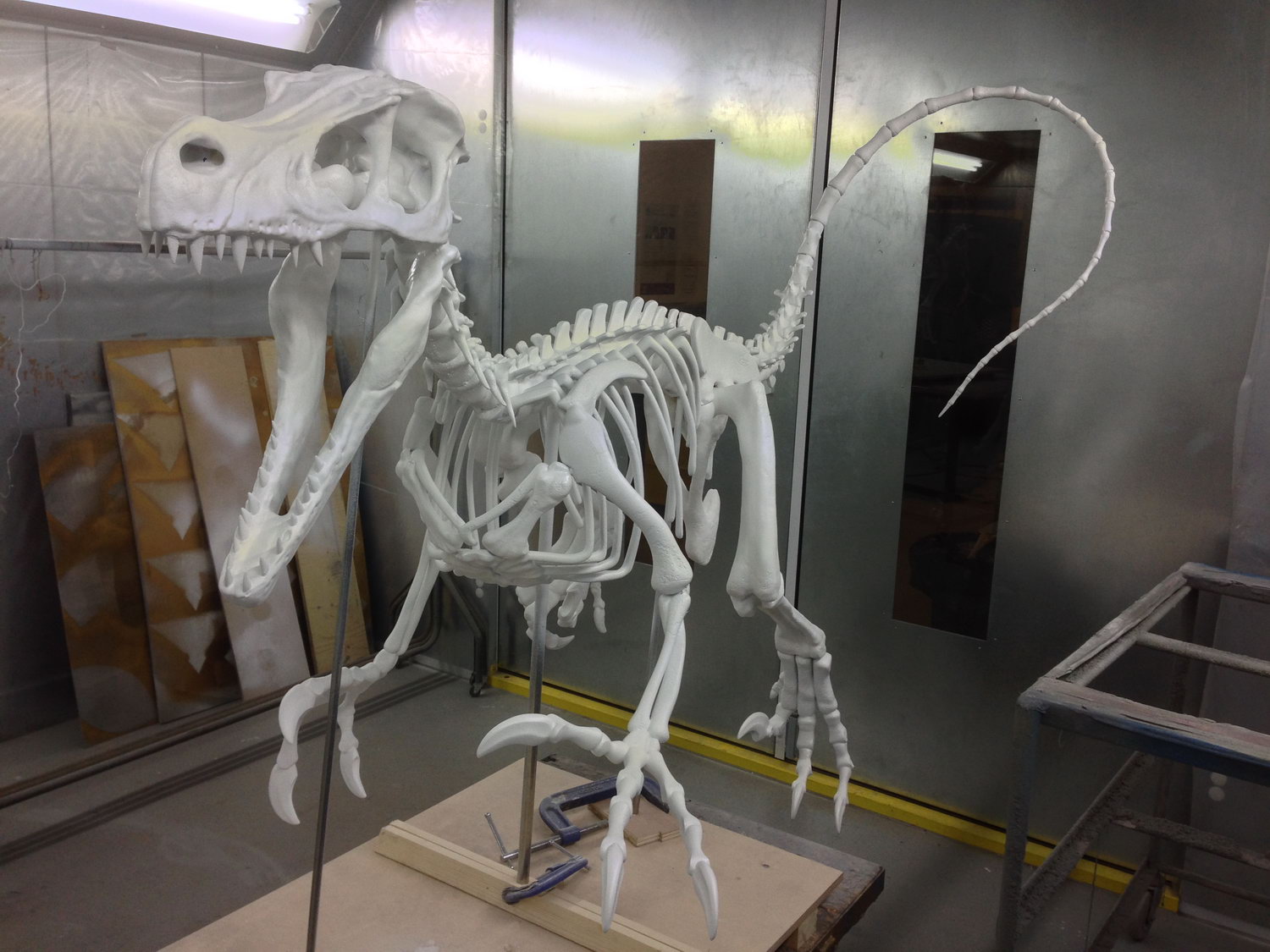 Raptor Print4.JPG