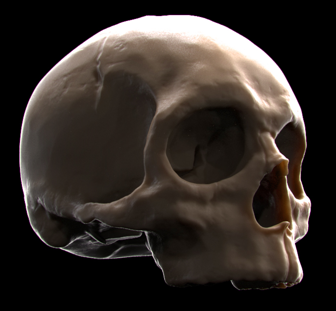 skull_may.jpg