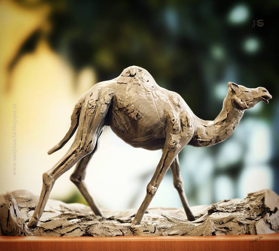 Quick_block_Camel_by_SurajitSen_INS.jpg