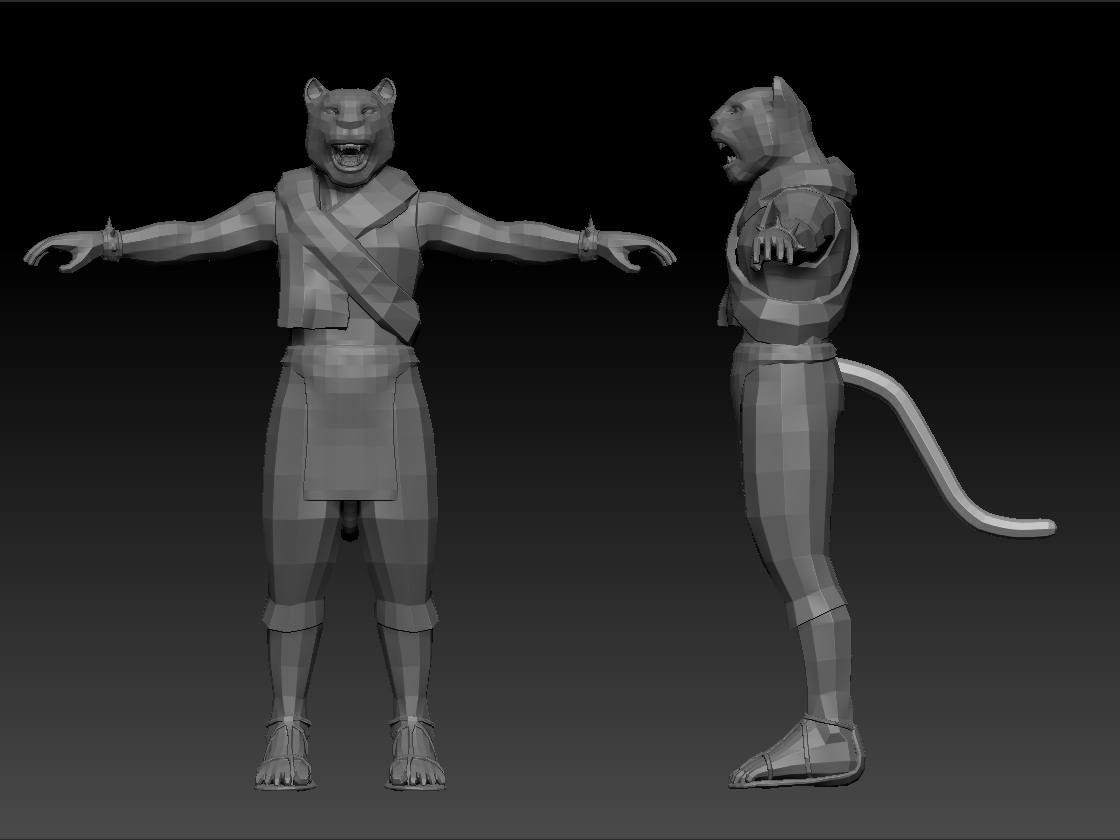 tigre5.jpg