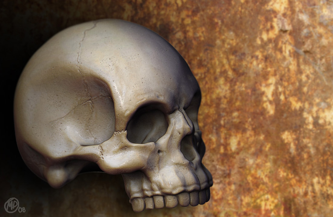 final_skull_mini.jpg