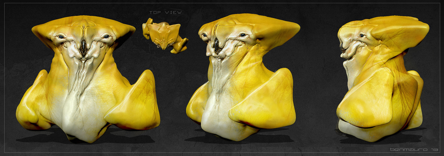 Yellow_head01S_BM.jpg
