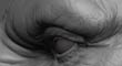 thumb.jpg