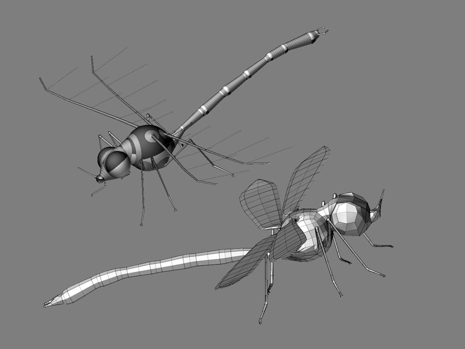dragonfly.jpg