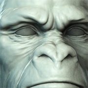 thumb.jpg
