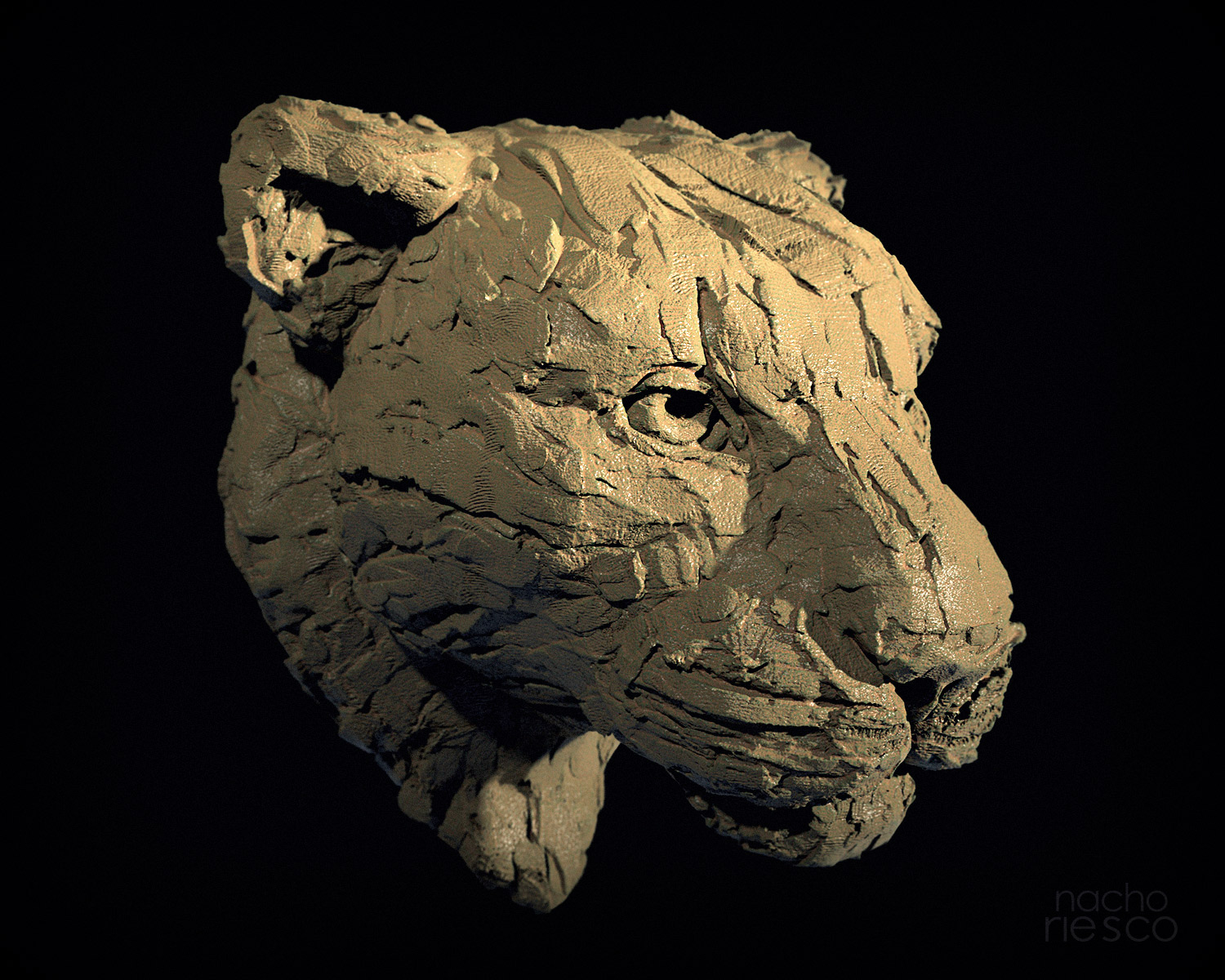 leopardo-arcilla_500k.jpg