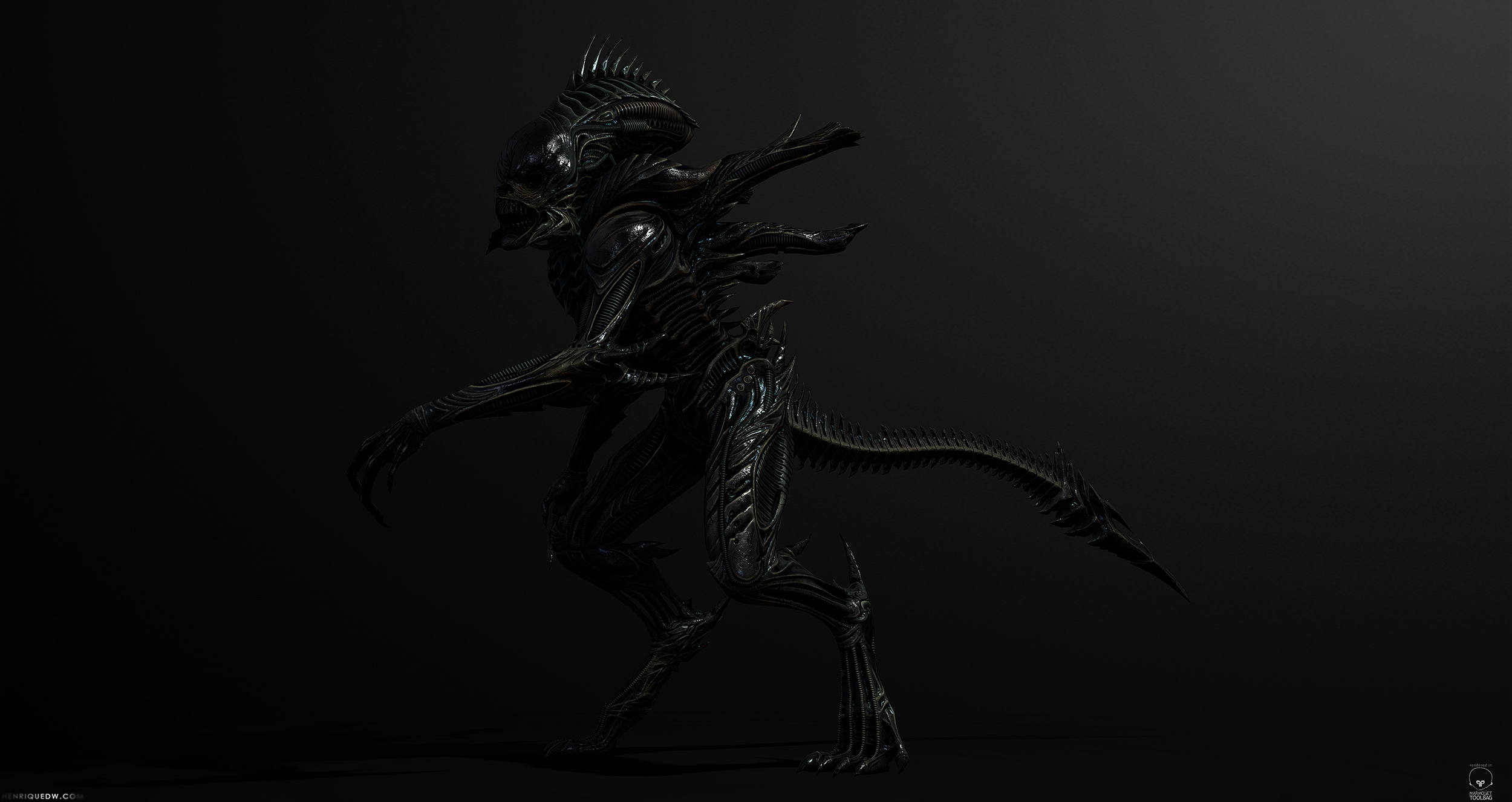 Raven_004.jpg