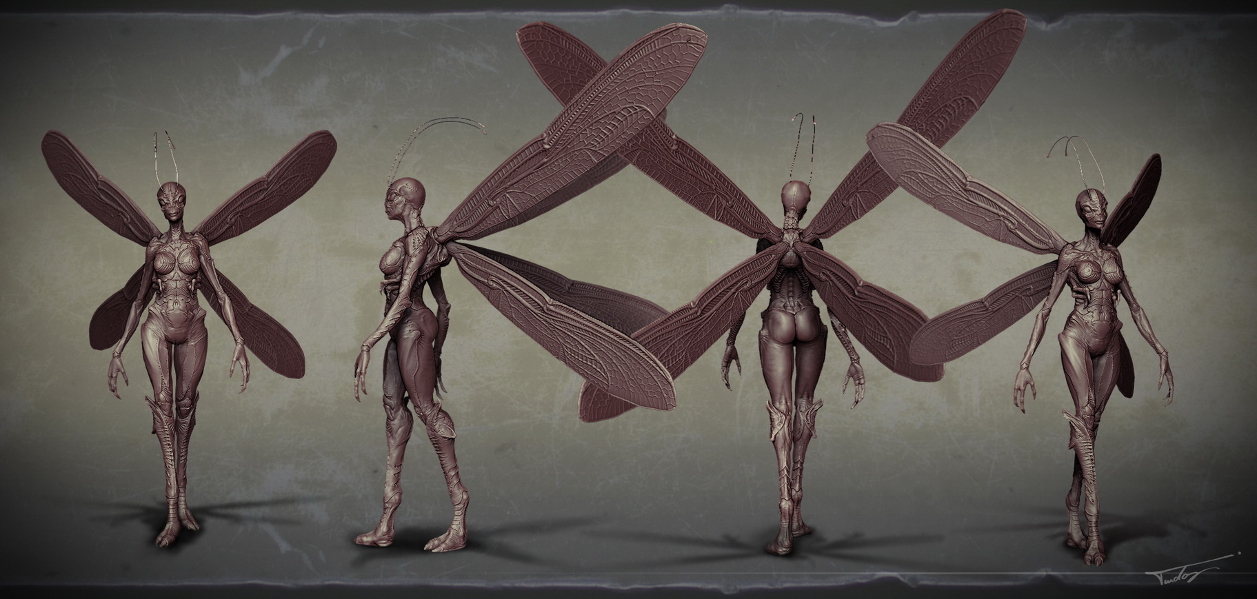 Dragonfly_resize.jpg