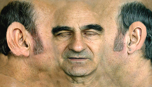 flatface.jpg
