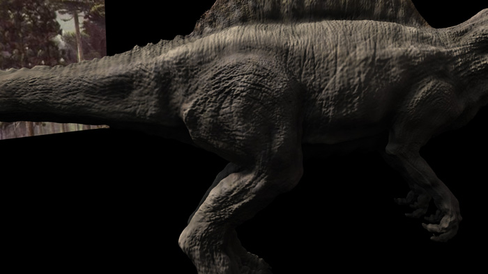 spino_displ2.jpg