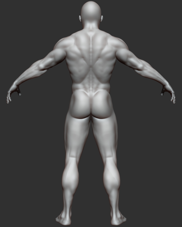muscular guy_back.jpg