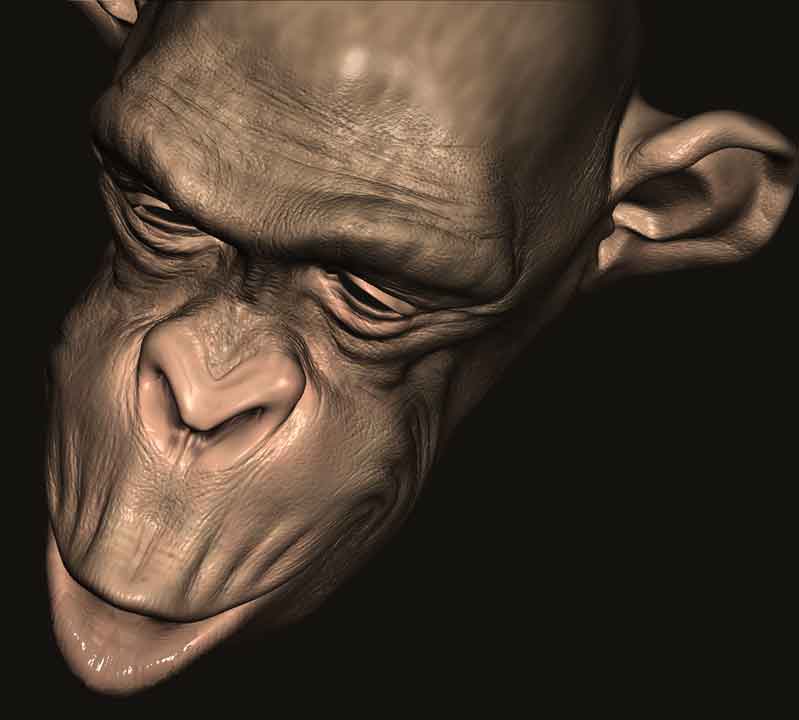 ape-tex.jpg