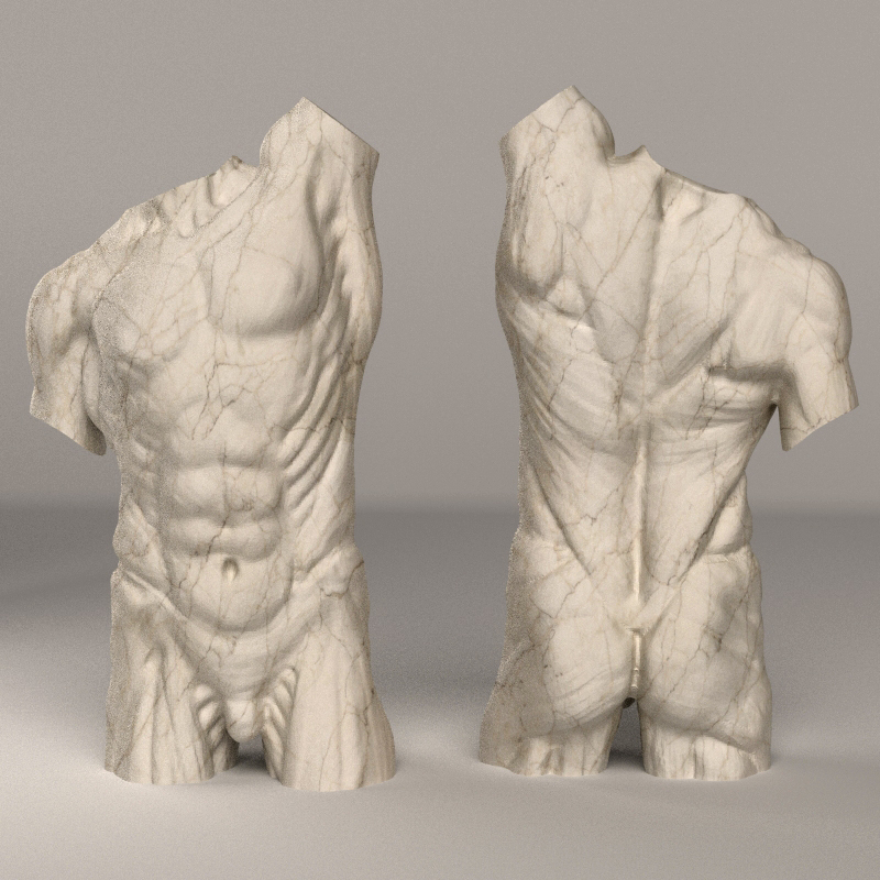 anatomical_study_07b.jpg
