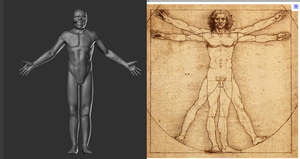 vitruvian.jpg