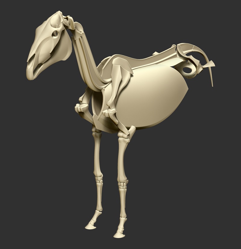 horse_skeleton08.jpg