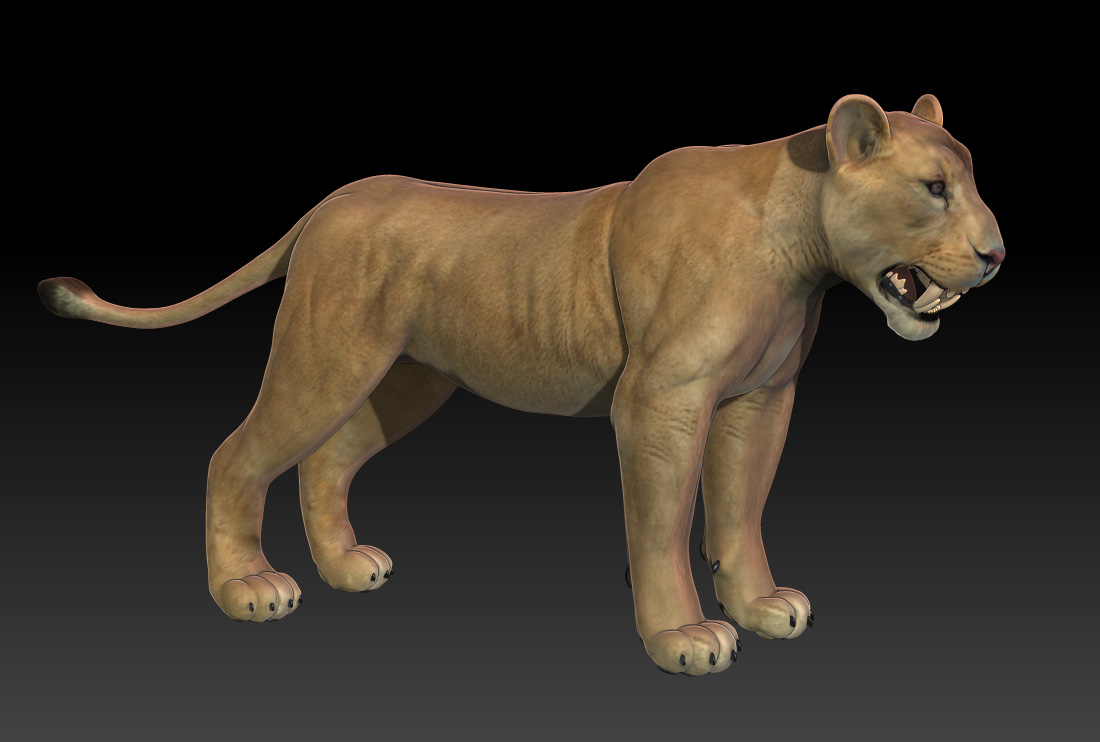 lion.jpg