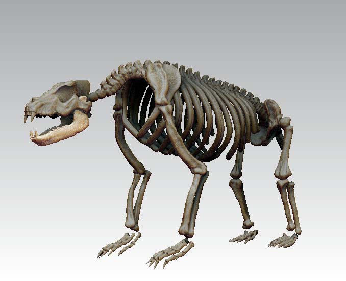 cavebskel.jpg