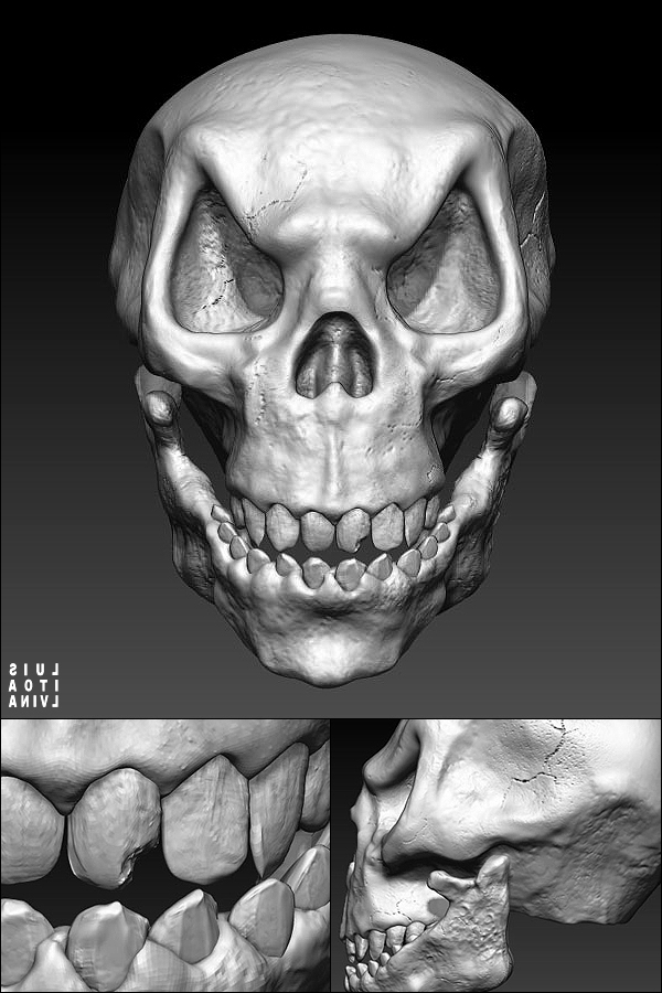 ___the_supraorbital_process____by_sideshowsito-d4nmvfr.jpg
