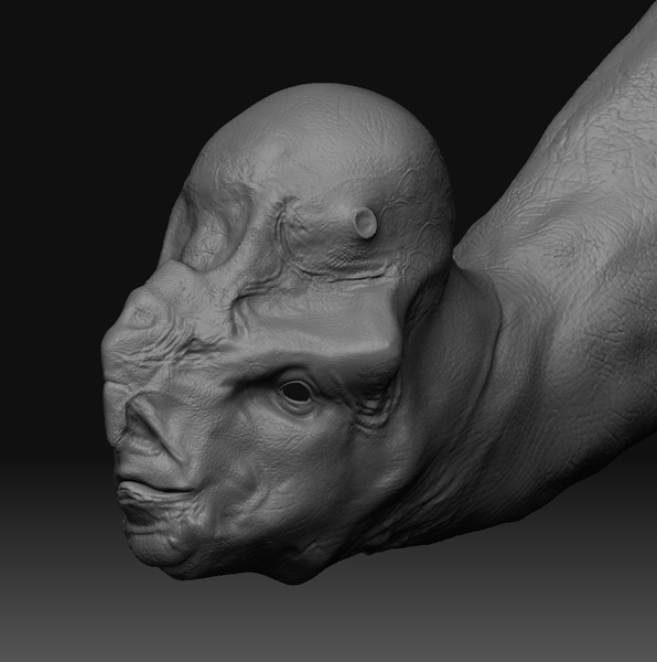 DETALLE FULL FACE.jpg