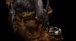 DRAGON LION FIGHT 14.jpg