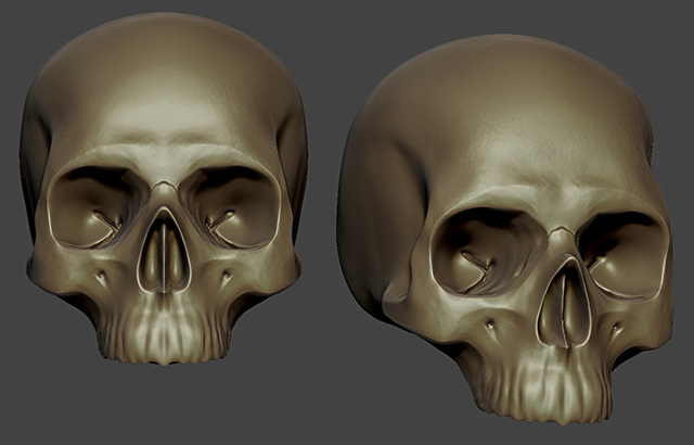 Skull_2011a.jpg