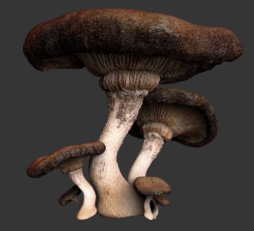 mushroommmy.jpg