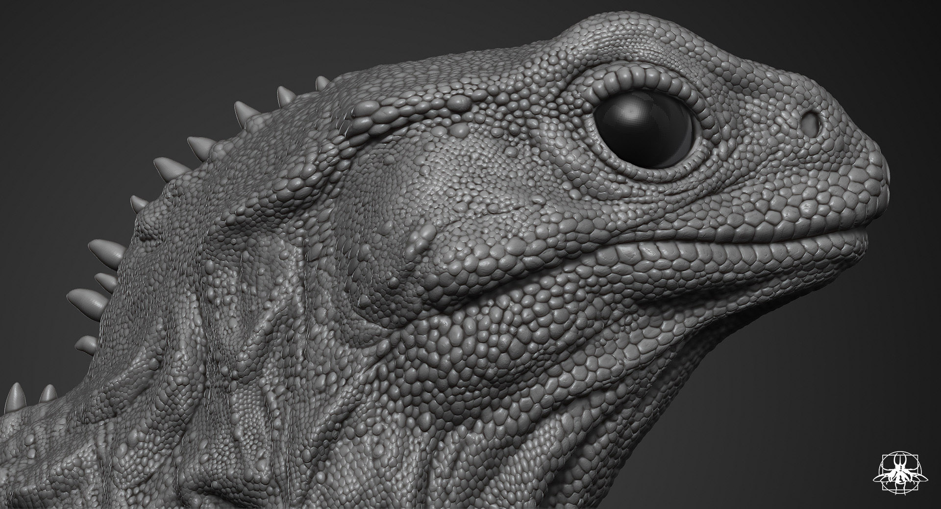 Tuatara_07.jpg