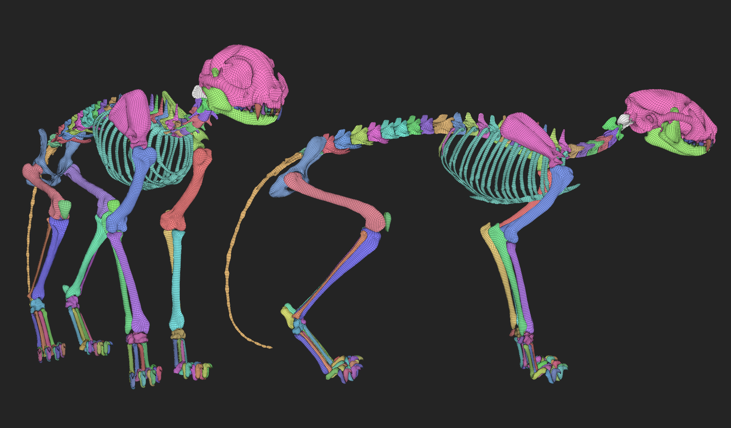 MarcusTrolldenier_SculptingAnatomy_week3_domestic_cat_02.jpg